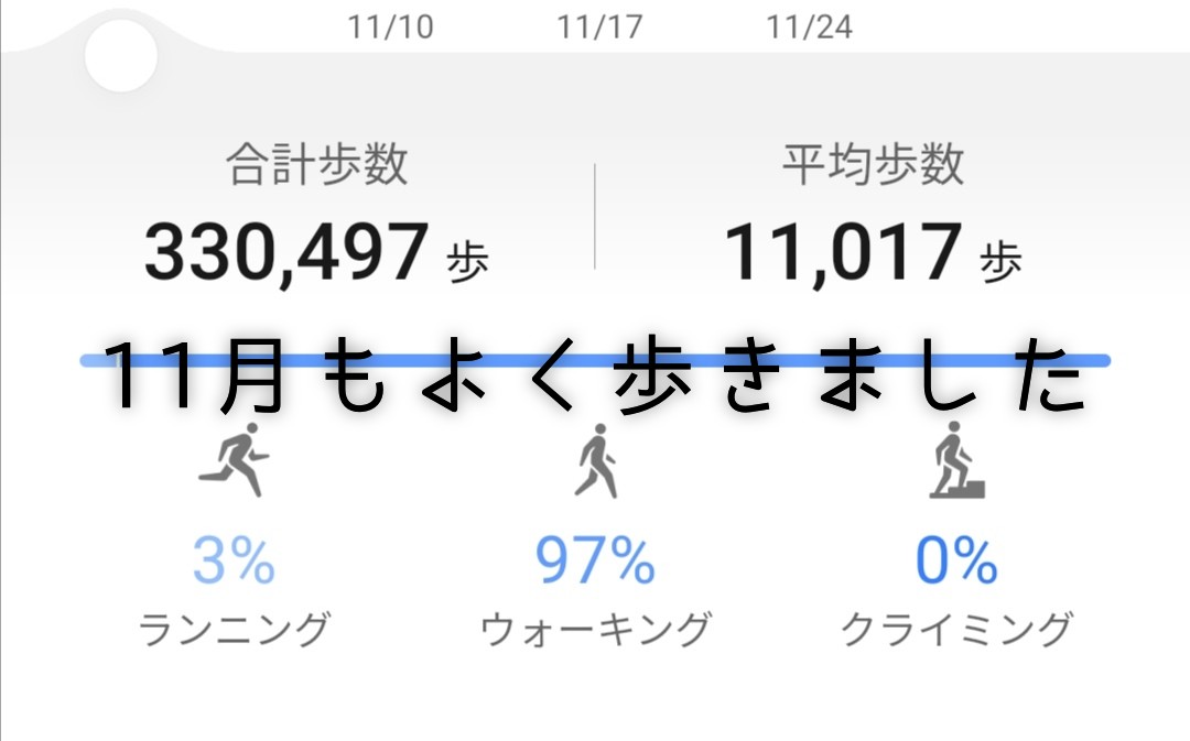 【平均歩数11,017歩】11月もよく歩きました