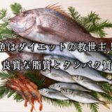 薬院・高砂エリアのパーソナルジムTRYCEが教える｜魚はダイエットの救世主！良質な脂質とタンパク質