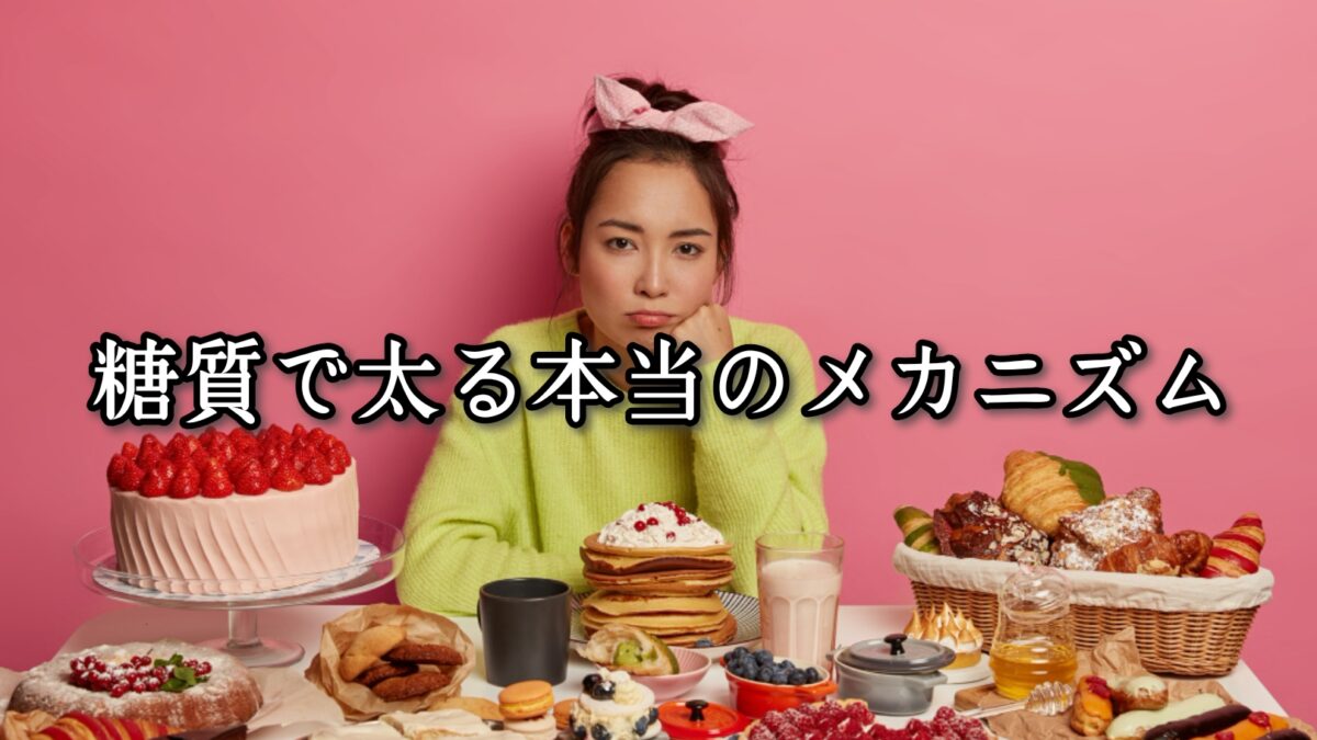 薬院・高砂エリアのパーソナルジムTRYCEが教える|糖質で太る本当のメカニズム