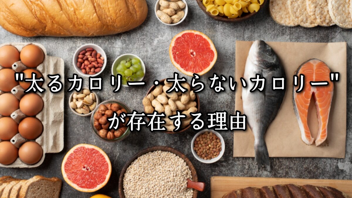 薬院・高砂エリアのパーソナルジムTRYCEが教える｜“太るカロリー・太らないカロリー”が存在する理由