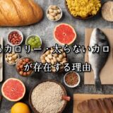 薬院・高砂エリアのパーソナルジムTRYCEが教える｜“太るカロリー・太らないカロリー”が存在する理由