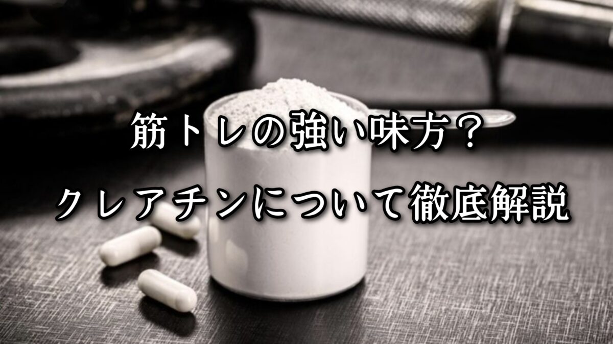 薬院・高砂エリアのパーソナルジムTRYCEが教える｜筋トレの強い味方？クレアチンについて徹底解説