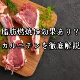 薬院・高砂エリアのパーソナルジムTRYCEが教える｜脂肪燃焼に効果あり？カルニチンを徹底解説