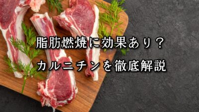 薬院・高砂エリアのパーソナルジムTRYCEが教える｜脂肪燃焼に効果あり？カルニチンを徹底解説