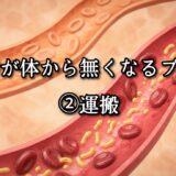 薬院・高砂エリアのパーソナルジムTRYCEが教える｜体脂肪が体から無くなるプロセス②運搬