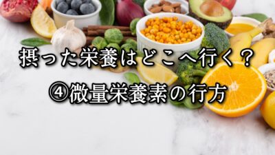 薬院・高砂エリアのパーソナルジムTRYCEが教える｜摂った栄養はどこへ行く？④微量栄養素の行方