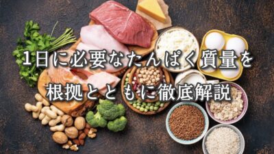 高砂・清川エリアのパーソナルジムTRYCEが教える｜1日に必要なたんぱく質量を根拠とともに徹底解説