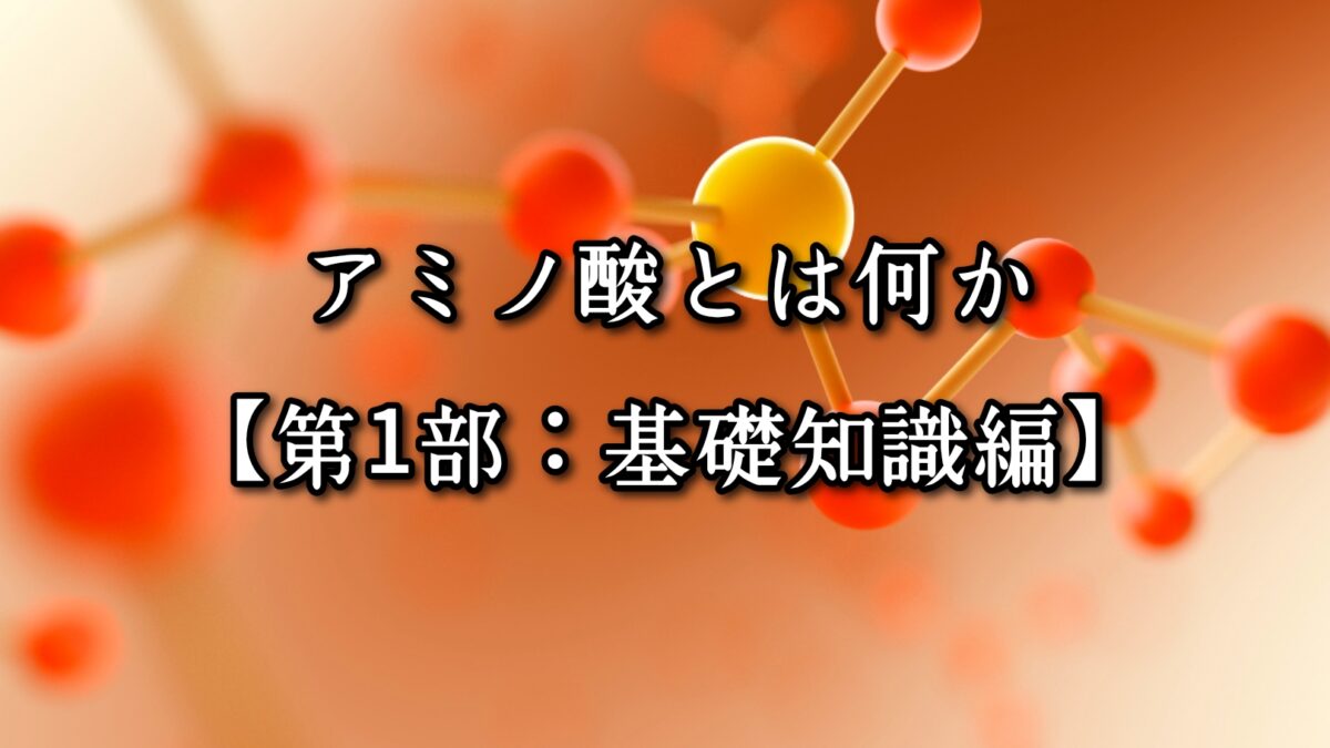 高砂・清川エリアのパーソナルジムTRYCEが教える|アミノ酸とは何か【第1部:基礎知識編】