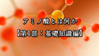 高砂・清川エリアのパーソナルジムTRYCEが教える｜アミノ酸とは何か【第1部：基礎知識編】